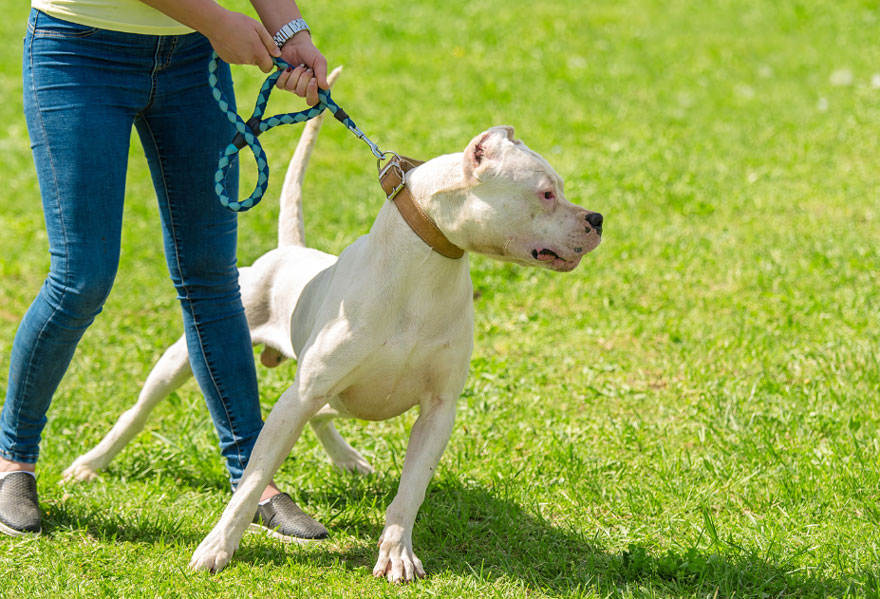 Reactivity common mistakes